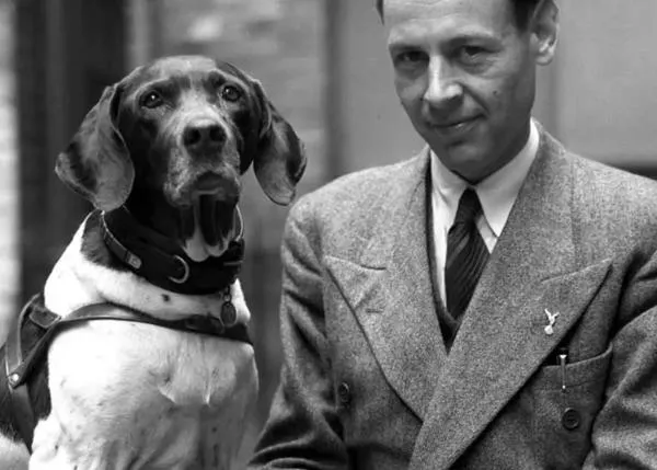 La fabulosa historia de Judy, una Pointer que nació en China, fue prisionera de guerra y condecorada con la “Cruz Victoria de los animales”