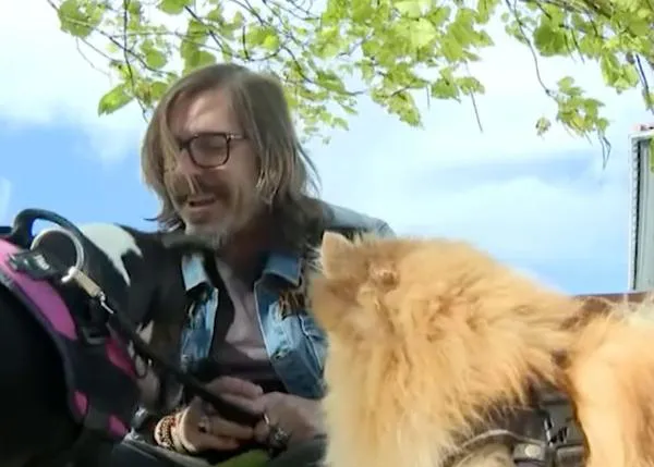 Tras divorciarse y año y medio de batalla legal, un hombre logra por fin reunirse con sus perros