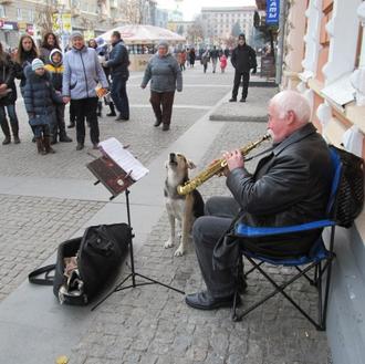 El espontáneo canino: un perro hace un dúo con un …
