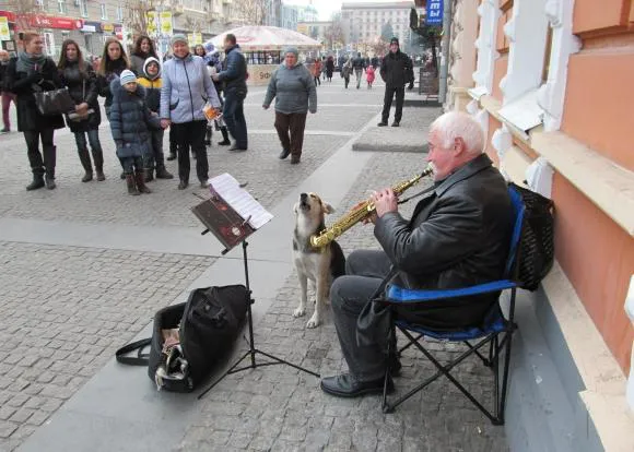El espontáneo canino: un perro hace un dúo con un músico callejero