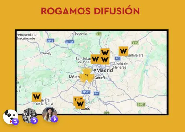 Recogida de ayuda para los perros y gatos afectados por los incendios en todas las tiendas GUAW
