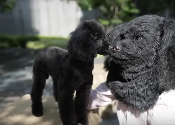 ¿Humanos que se parecen a sus perros? Ahora puedes encargarte una máscara con la cara de tu can (o minino)
