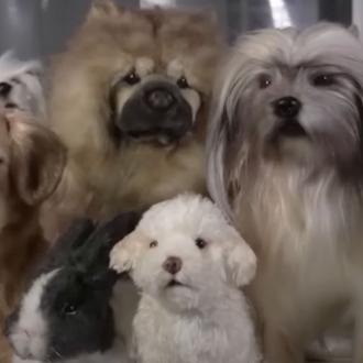Peluches realistas de perros y otros animales para ayudar a …