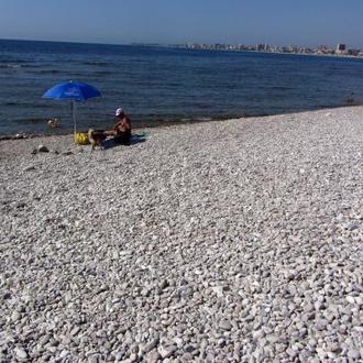 Enfrentamientos y recogidas de firmas por la playa perruna del …