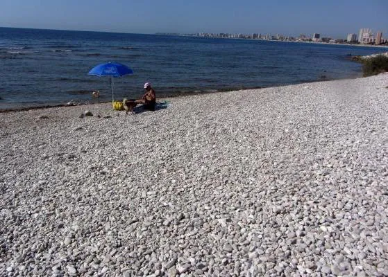 Enfrentamientos y recogidas de firmas por la playa perruna del Campello 