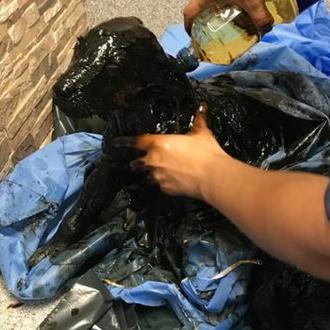 Un cachorrote sobrevive tras haber sido bañado en alquitrán y …