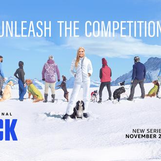 The Pack, La Manada: trailer del peculiar concurso perruno que …