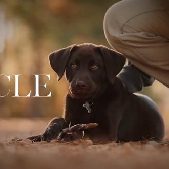 El Círculo: un cortometraje sobre nuestros perros del pasado, nuestros …