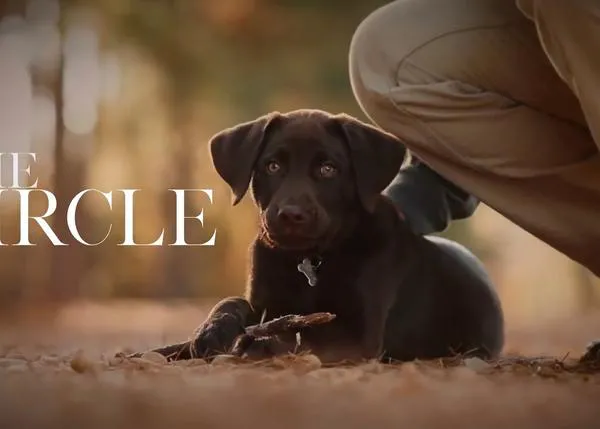 El Círculo: un cortometraje sobre nuestros perros del pasado, nuestros perros del presente y del futuro