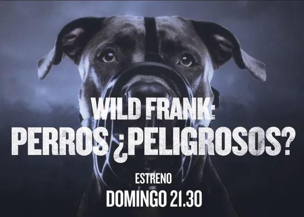 Frank Cuesta reúne a las 8 razas de perros consideradas potencialmente peligrosas y debate sobre su situación