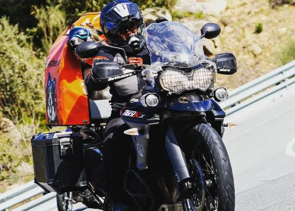 El doble peligro de sufrir un accidente de coche o moto en carretera cuando vas con perro (aún en 2024)