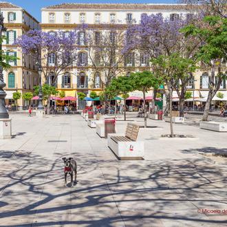 Petardos y pirotecnia en Málaga: prohibido en todo el centro …