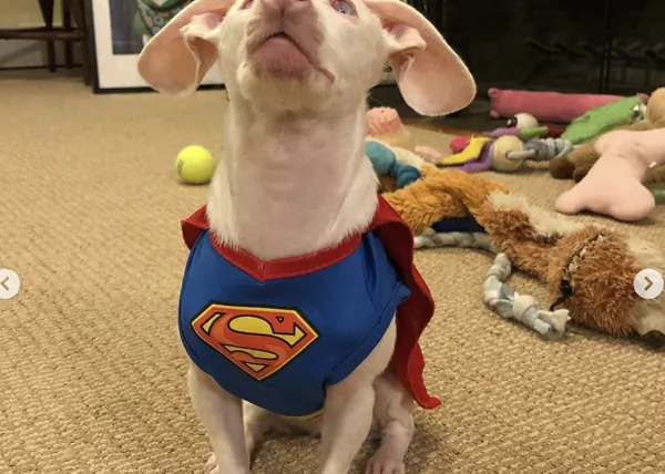 Piglet, el 