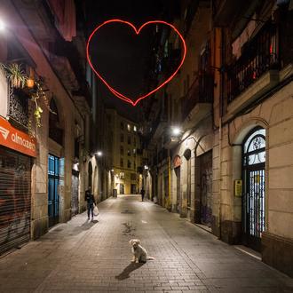 Amores perros por encima de los humanos: para muchos, San …