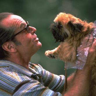 El perro actor con más arte, o cómo hacerse el …