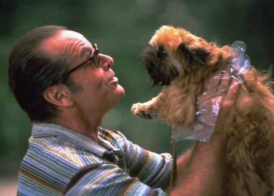 El perro actor con más arte, o cómo hacerse el muerto en versión Jack Nicholson