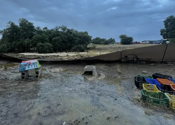 Protectoras y refugios de animales en la Comunidad de Madrid y Toledo afectados por las lluvias (y cómo ayudar)