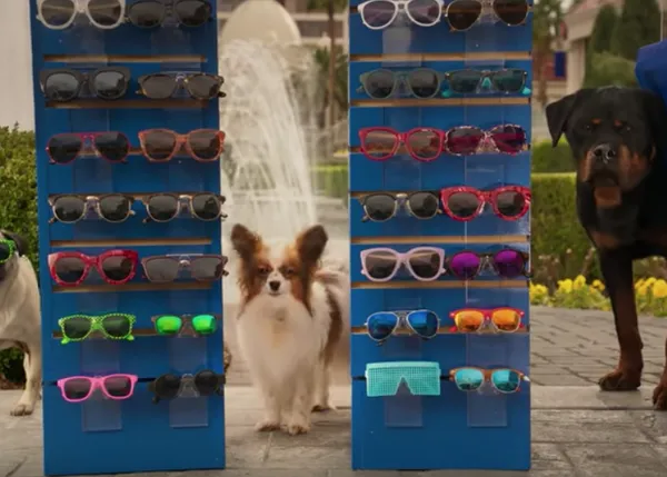 Perros parlantes con mucho sentido del humor: llega una nueva peli canina para toda la familia, Show Dogs