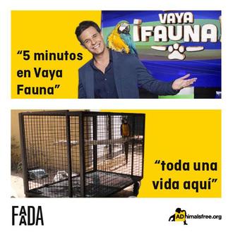 #ApagonVayaFauna: 1.400.000 espectadores dan la espalda al programa …