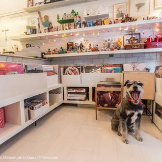 Agenda SrPerro diciembre: de shopping con perro, galgos en el …