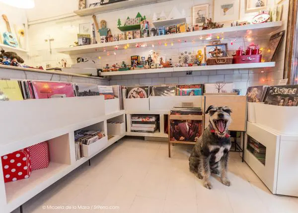 Agenda SrPerro diciembre: de shopping con perro, galgos en el cine y quedadas perrunas