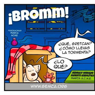 ¿Por qué NO recomiendan la acepromacina para perros con fobia …