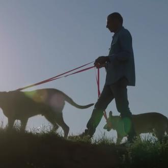 El poder de los perros para transformar vidas: la reinserción …