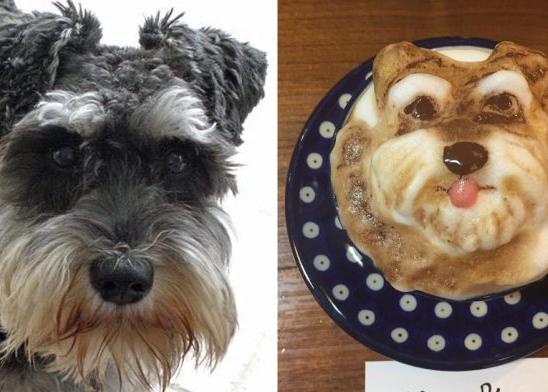 Un café perruno diferente a los demás, un café con arte donde crean ¡fabulosos retratos caninos en latte art!