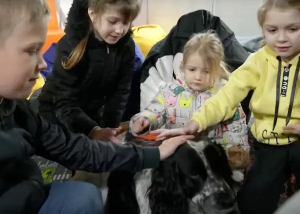 Perros de intervención asistida ayudan a sonreír a los niños que escapan de la guerra en Ucrania