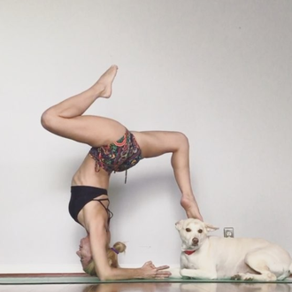 Perros que practican el Doga en versión libre  