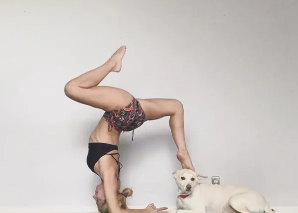 Perros que practican el Doga en versión libre  