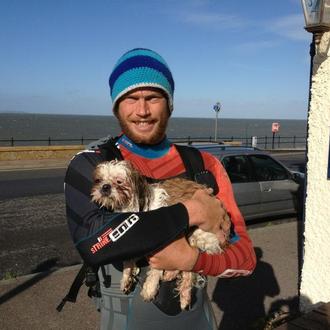 Aventuras inesperadas: un cachorro de Shih Tzu, rescatado en el …