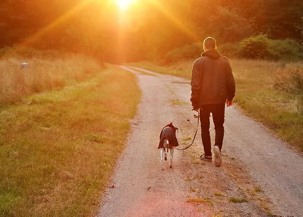 Los solteros con perro -sobre todo si es una raza de caza- viven más años