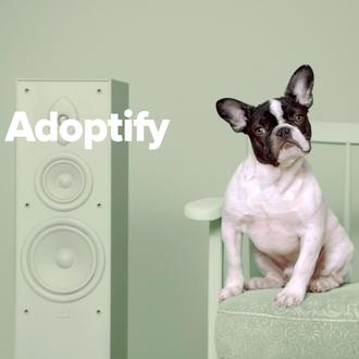 Adoptify: una original campaña para fomentar las adopciones a través …
