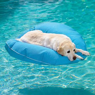 El perro equipado: colchonetas para la piscina