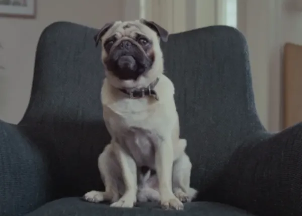 Los perros y Volkswagen: sus mejores anuncios con prota canino (y su peor spot)