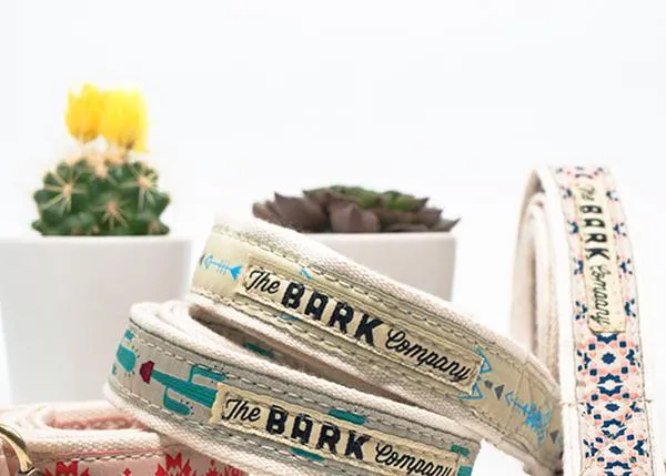 La felicidad perruna a la hora del paseo, ¡tiene premio! un collar y una correa The Bark Co.