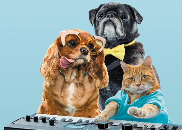 Estrellas de internet unidas por una buena causa: fomentar la adopción de perros y gatos