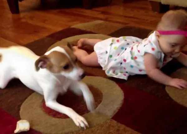 Lecciones de gateo perri-humano: la amistad entre una niña y un perro