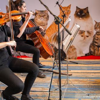Agenda SrPerro Enero: San Antón musical, San Antón solidario y …