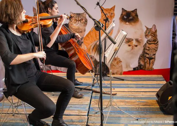 Agenda SrPerro Enero: San Antón musical, San Antón solidario y San Antón emotivo