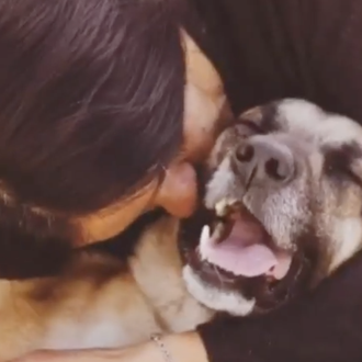 Cualquier día puede ser el #DíaInternacionaldelBeso: te lo demuestran todos …