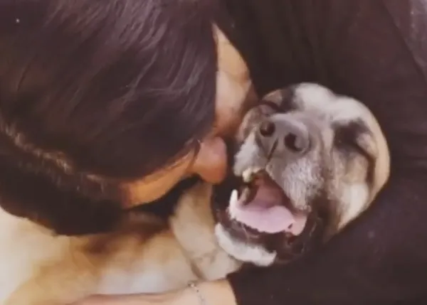 Cualquier día puede ser el #DíaInternacionaldelBeso: te lo demuestran todos estos perros (en casas de acogida, adoptados...)