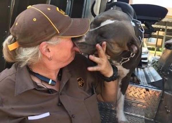 Una mensajera de UPS adopta al gran Pit Bull que conoció en sus rutas diarias tras morir su dueña