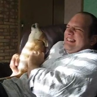 El Shiba Inu cantante, a su manera