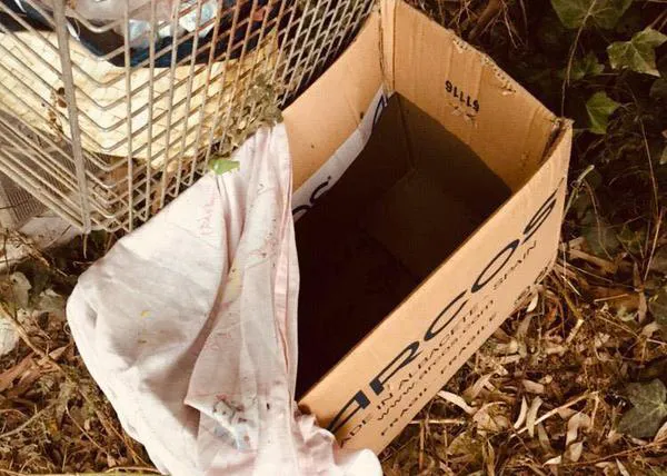 5 cachorrotes hambrientos rescatados y una caja vacía (pero llena de irresponsabilidad)