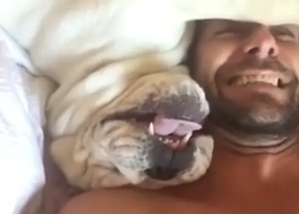¿Qué hay que hacer cuando suena el despertador? Todos estos perros lo tienen clarísimo