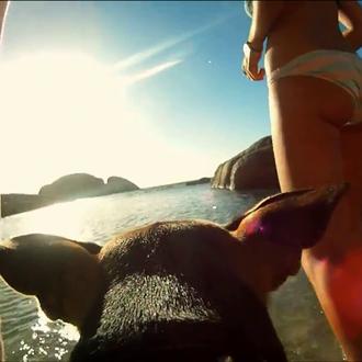 El perfecto día perruno, en vídeo: un paseo con mucho …