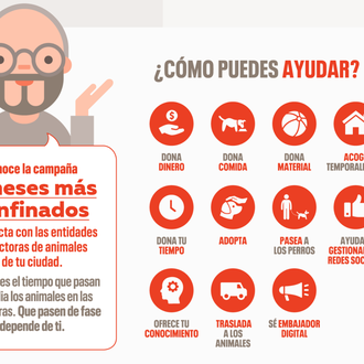 ¿Cómo son las protectoras en España y cómo les ha …