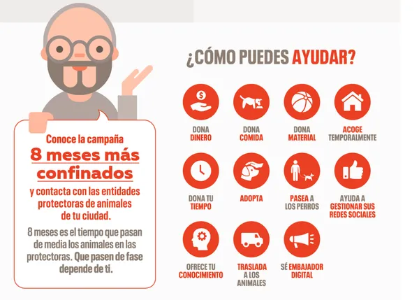 ¿Cómo son las protectoras en España y cómo les ha afectado el confinamiento?